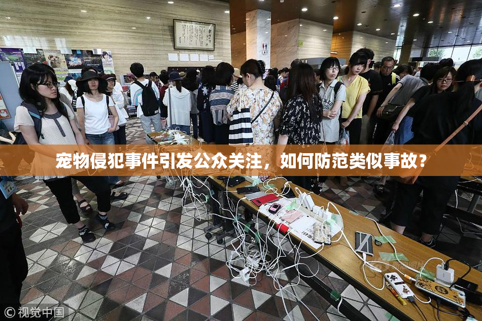 宠物侵犯事件引发公众关注，如何防范类似事故？