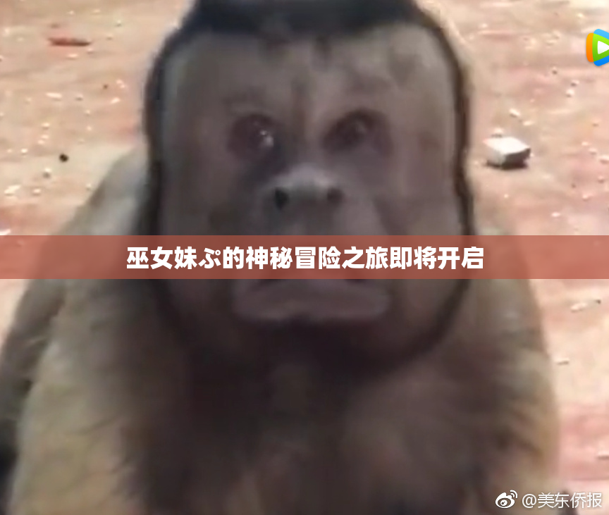 巫女妹ぷ的神秘冒险之旅即将开启