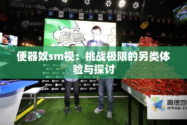 便器奴sm视：挑战极限的另类体验与探讨