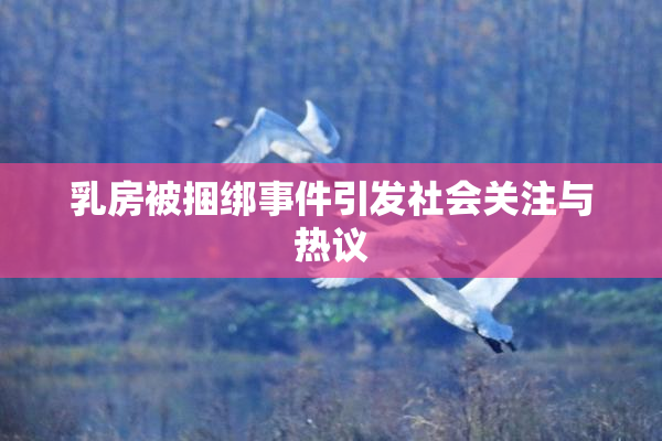 乳房被捆绑事件引发社会关注与热议