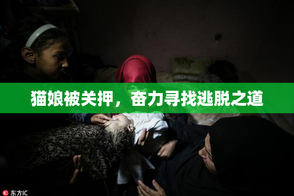 猫娘被关押，奋力寻找逃脱之道