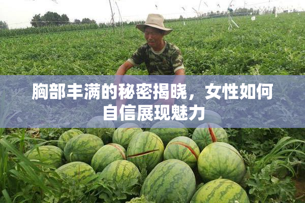 胸部丰满的秘密揭晓，女性如何自信展现魅力