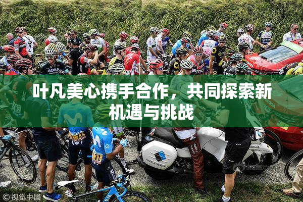叶凡美心携手合作，共同探索新机遇与挑战