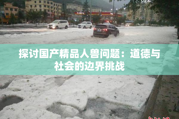 探讨国产精品人兽问题：道德与社会的边界挑战