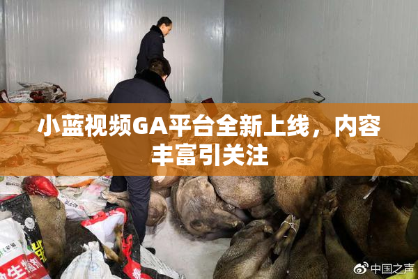 小蓝视频GA平台全新上线，内容丰富引关注