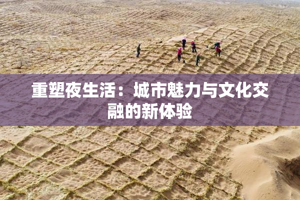 重塑夜生活：城市魅力与文化交融的新体验