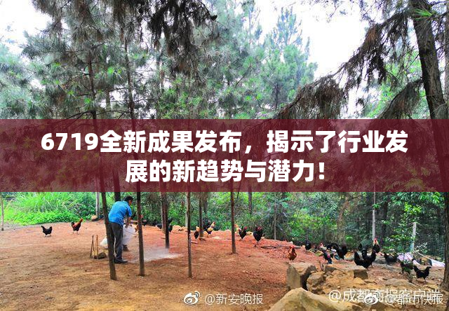 6719全新成果发布，揭示了行业发展的新趋势与潜力！
