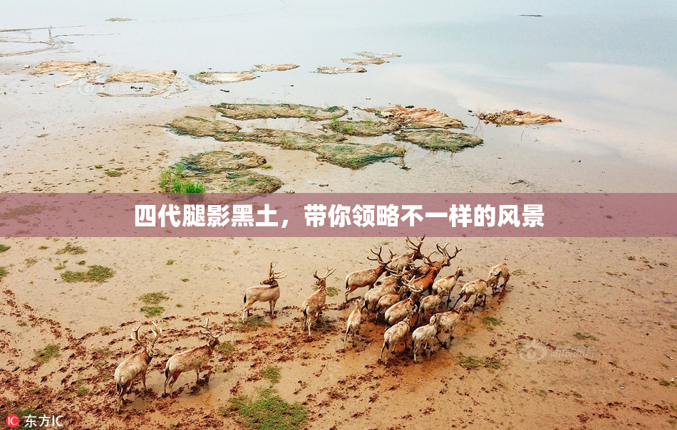 四代腿影黑土，带你领略不一样的风景