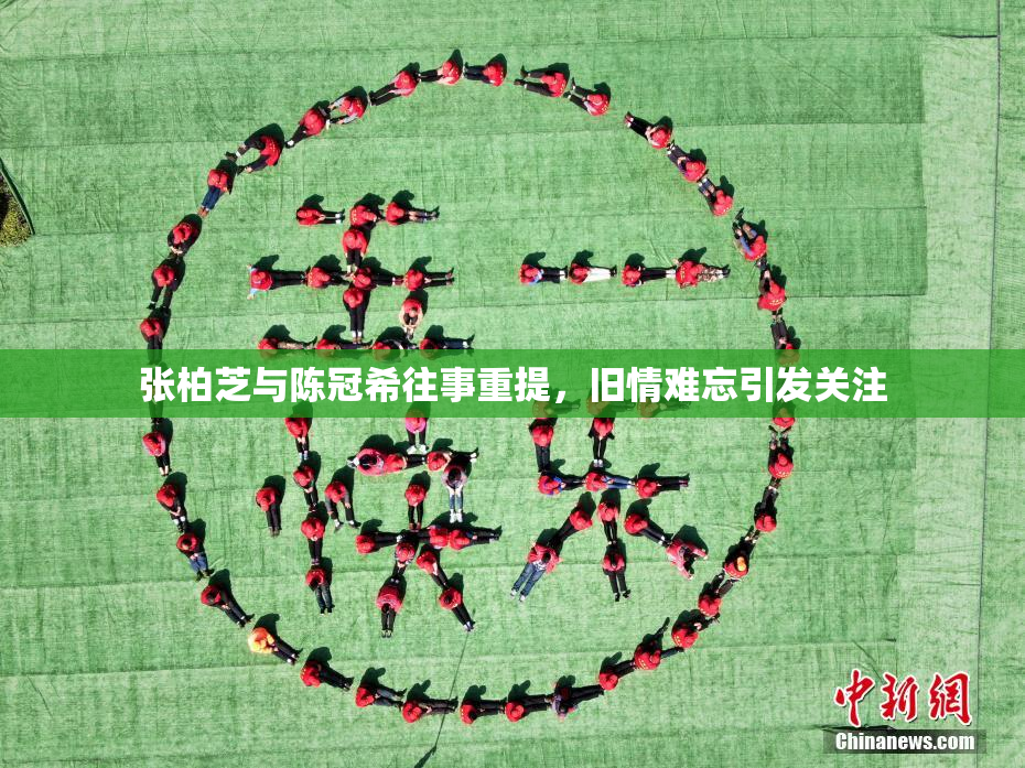 张柏芝与陈冠希往事重提，旧情难忘引发关注