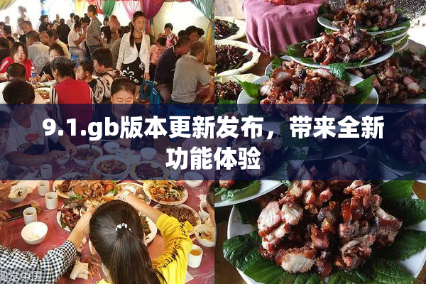 9.1.gb版本更新发布，带来全新功能体验