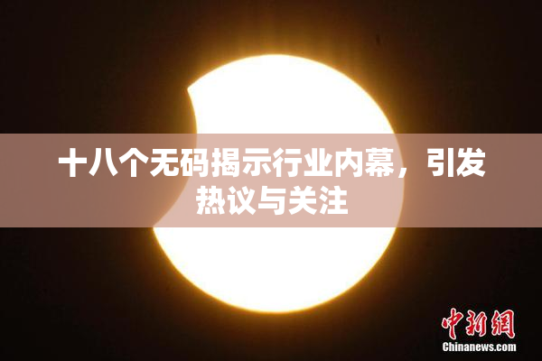 十八个无码揭示行业内幕，引发热议与关注