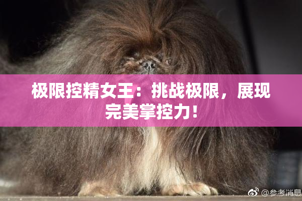 极限控精女王：挑战极限，展现完美掌控力！
