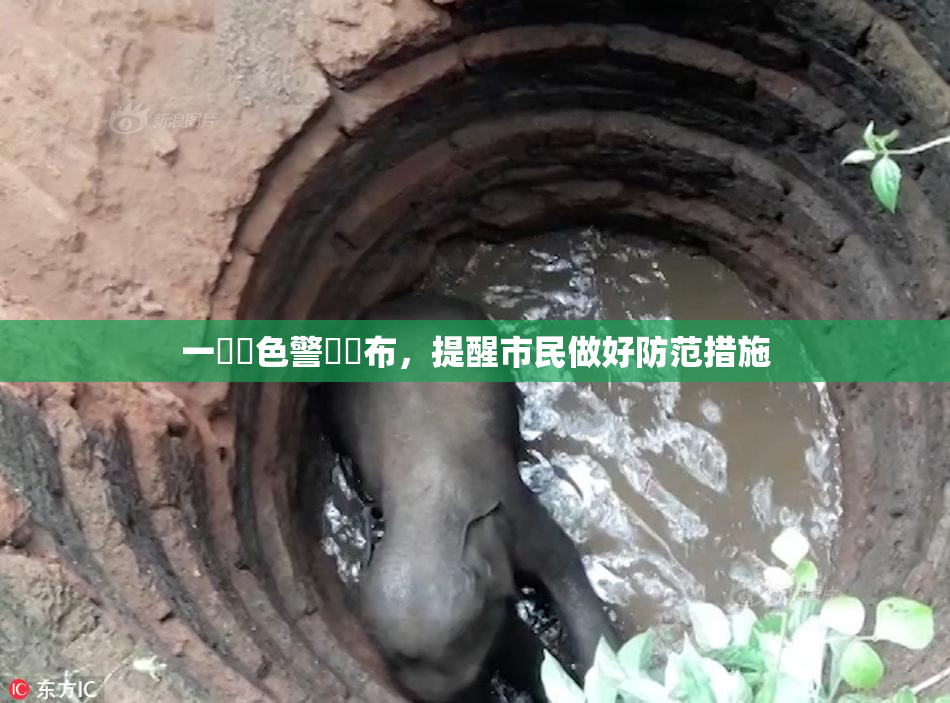 一級黃色警報發布，提醒市民做好防范措施