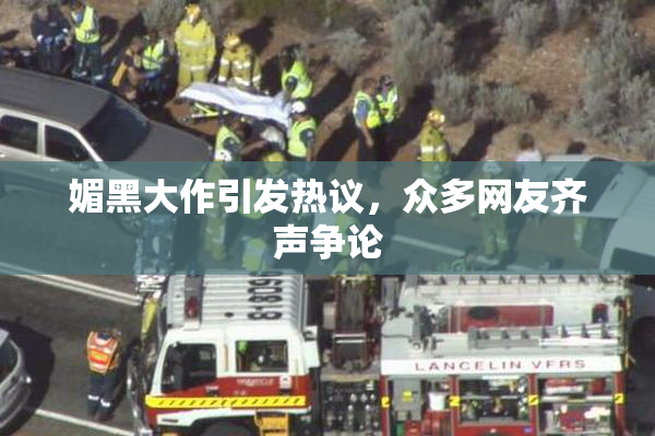 媚黑大作引发热议，众多网友齐声争论