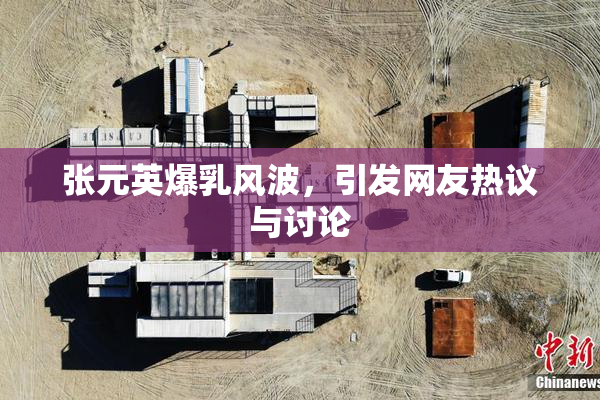 张元英爆乳风波，引发网友热议与讨论