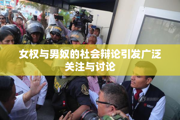 女权与男奴的社会辩论引发广泛关注与讨论