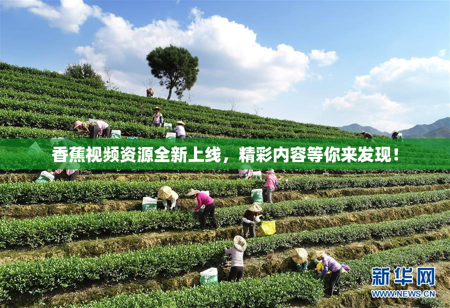 香蕉视频资源全新上线，精彩内容等你来发现！