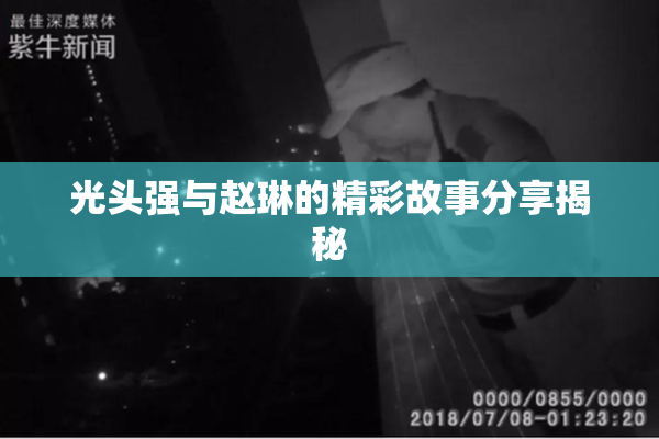 光头强与赵琳的精彩故事分享揭秘