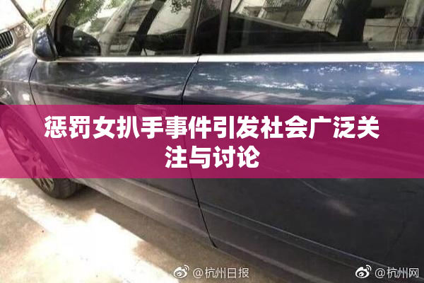 惩罚女扒手事件引发社会广泛关注与讨论