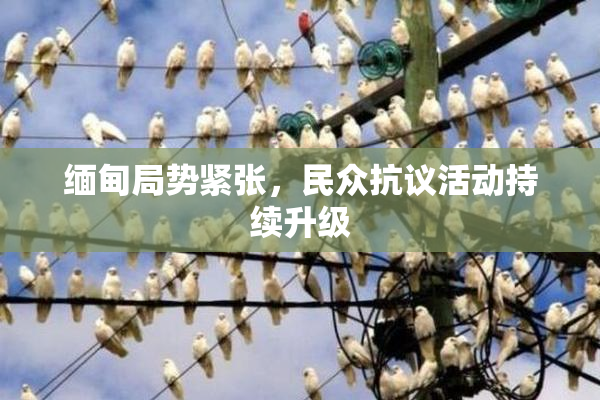 缅甸局势紧张，民众抗议活动持续升级