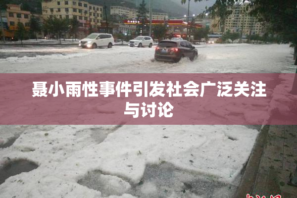 聂小雨性事件引发社会广泛关注与讨论