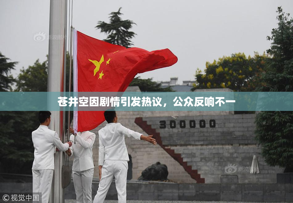 苍井空因剧情引发热议，公众反响不一