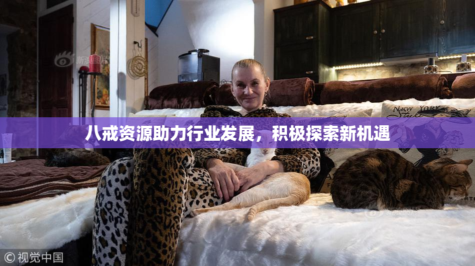 八戒资源助力行业发展，积极探索新机遇