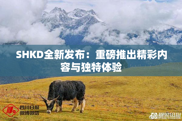 SHKD全新发布：重磅推出精彩内容与独特体验