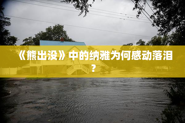 《熊出没》中的纳雅为何感动落泪？