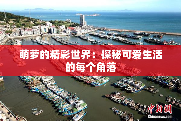 萌萝的精彩世界：探秘可爱生活的每个角落