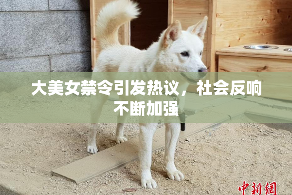 大美女禁令引发热议，社会反响不断加强