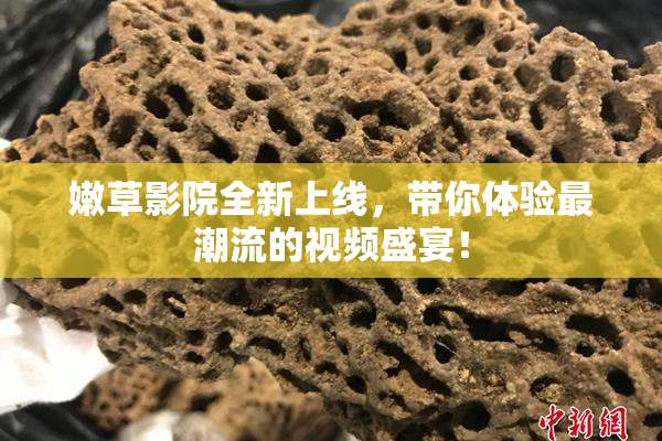 嫩草影院全新上线，带你体验最潮流的视频盛宴！