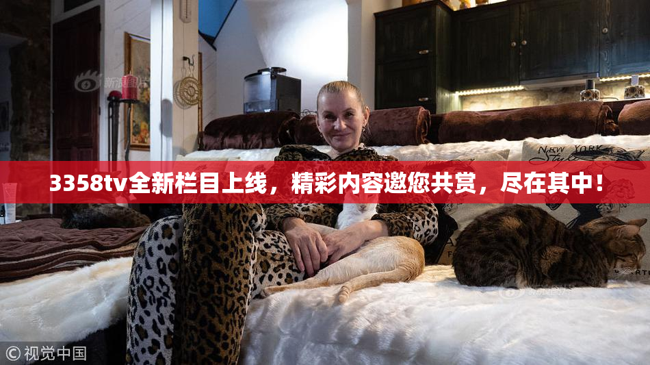 3358tv全新栏目上线，精彩内容邀您共赏，尽在其中！