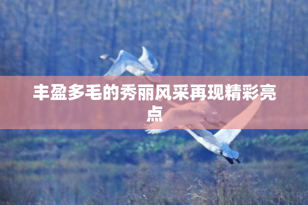 丰盈多毛的秀丽风采再现精彩亮点