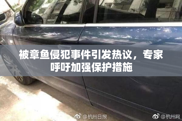 被章鱼侵犯事件引发热议，专家呼吁加强保护措施