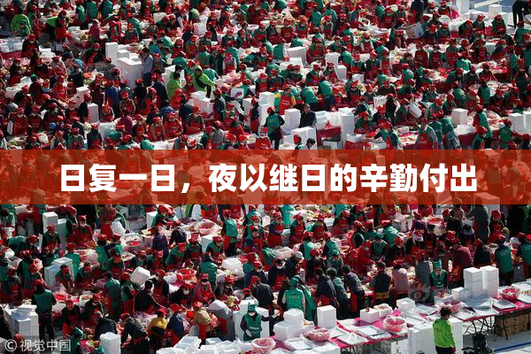 日复一日，夜以继日的辛勤付出
