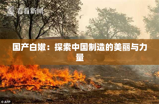 国产白嫩：探索中国制造的美丽与力量