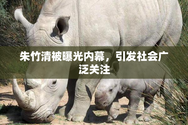 朱竹清被曝光内幕，引发社会广泛关注