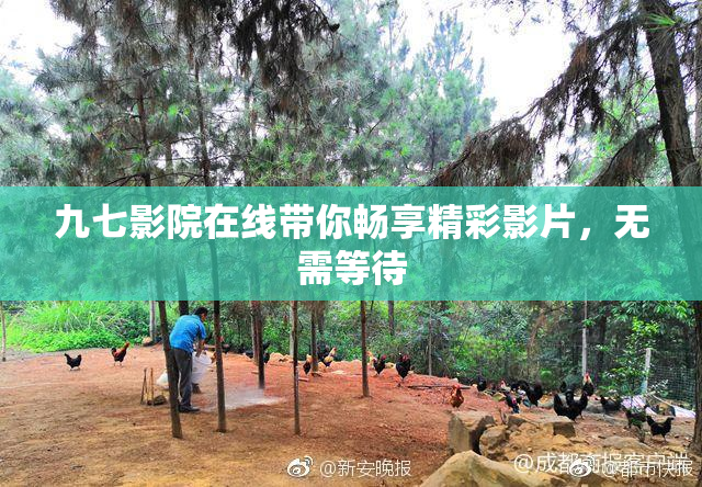 九七影院在线带你畅享精彩影片，无需等待