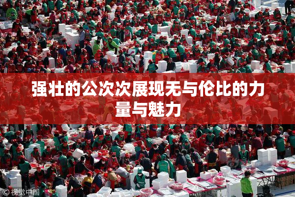强壮的公次次展现无与伦比的力量与魅力