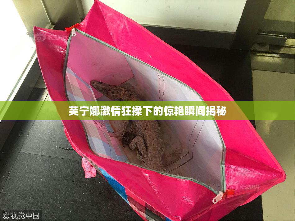 芙宁娜激情狂揉下的惊艳瞬间揭秘