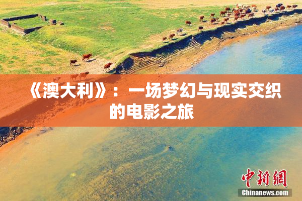 《澳大利》：一场梦幻与现实交织的电影之旅