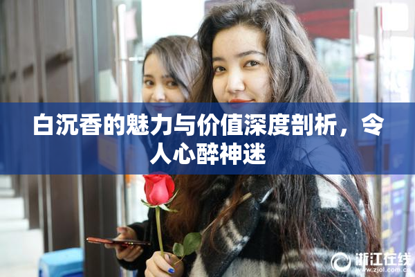 白沉香的魅力与价值深度剖析，令人心醉神迷