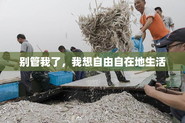 别管我了，我想自由自在地生活