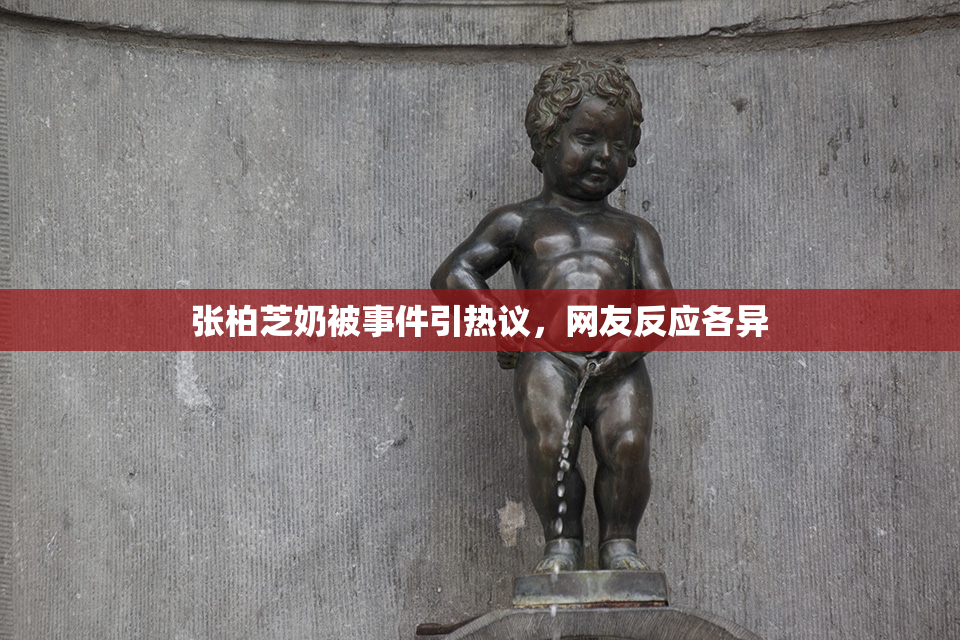张柏芝奶被事件引热议，网友反应各异