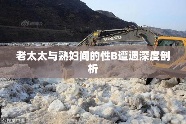 老太太与熟妇间的性B遭遇深度剖析