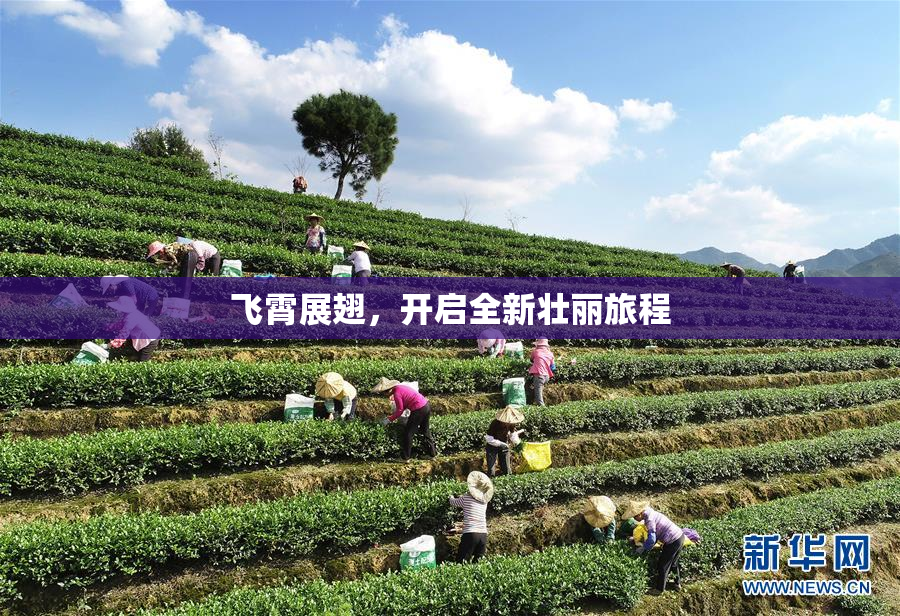 飞霄展翅，开启全新壮丽旅程