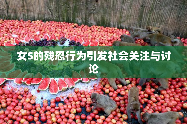 女S的残忍行为引发社会关注与讨论