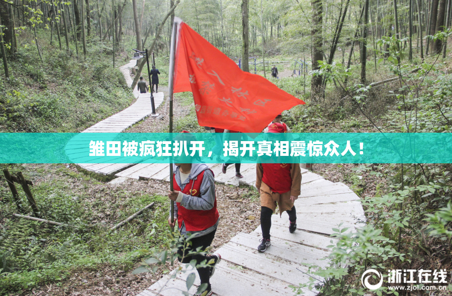 雏田被疯狂扒开，揭开真相震惊众人！