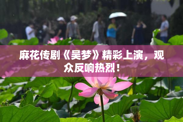 麻花传剧《吴梦》精彩上演，观众反响热烈！